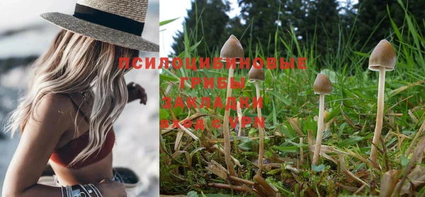 спиды Белоозёрский