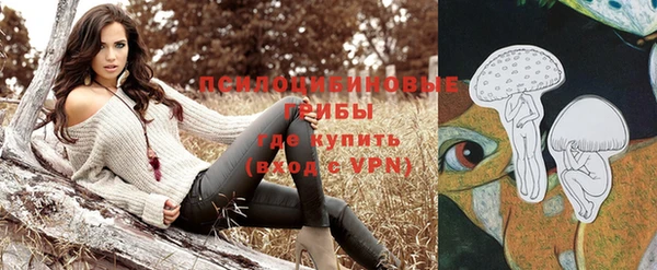гидропоника Богородск