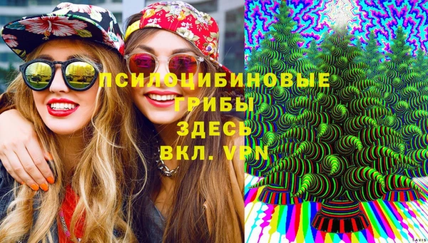 apvp Богородицк