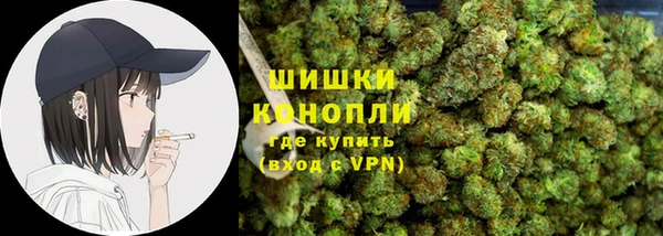 apvp Богородицк